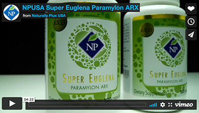 Super Euglena (CM)